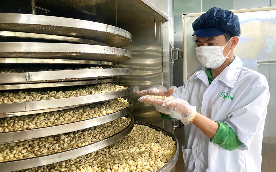 Xuất khẩu quý I tăng hai con số, ngành điều vẫn giảm mục tiêu năm 2026 Xuất khẩu quý I tăng hai con số, ngành điều vẫn giảm mục tiêu năm 2026
