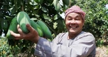 Xuất khẩu sang Australia tăng gần 30%, cơ hội cho thực phẩm sạch, bền vững