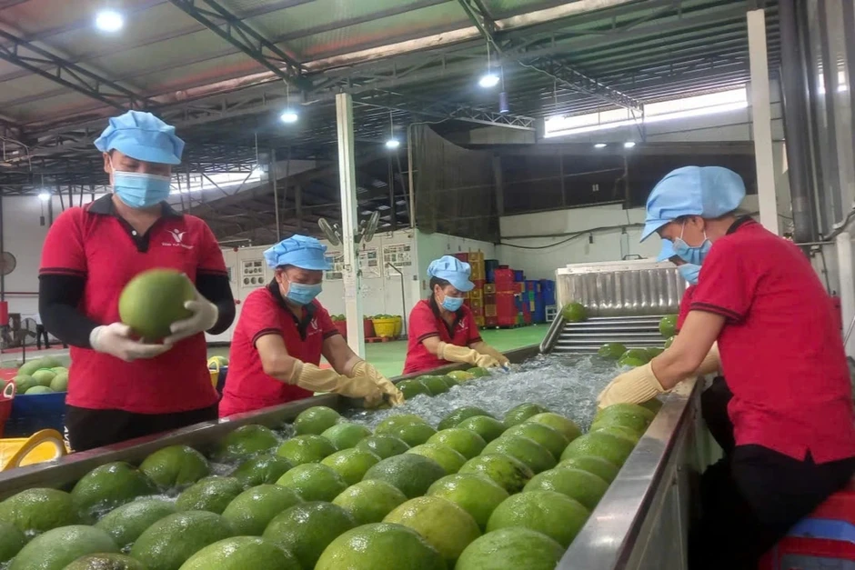 Xuất khẩu sang Australia tăng gần 30%, cơ hội cho thực phẩm sạch, bền vững Xuất khẩu sang Australia tăng gần 30%, cơ hội cho thực phẩm sạch, bền vững