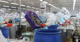 Xuất khẩu thủy sản bứt tốc nhờ tôm, dự kiến đạt hơn 12 tỷ USD năm 2026