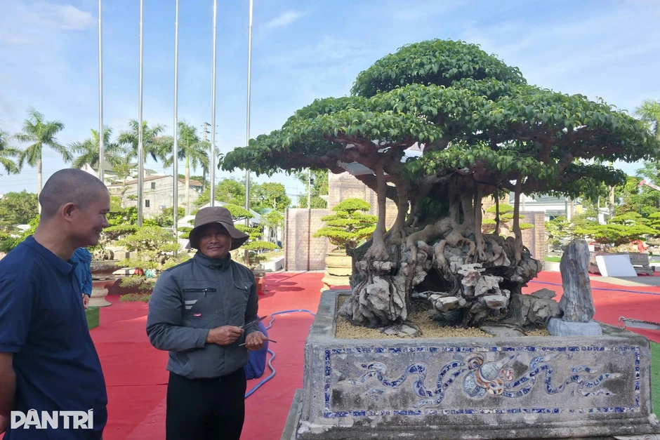 “Ngũ long ẩn vân” giá tiền tỷ tại triển lãm cây cảnh