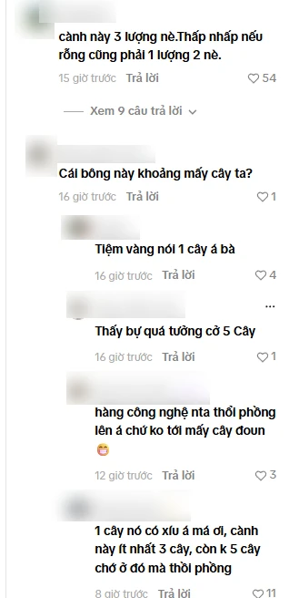 "Phú bà showbiz" khoe được tặng hoa hồng bằng vàng 9999, netizen thi nhau đoán giá "Phú bà showbiz" khoe được tặng hoa hồng bằng vàng 9999, netizen thi nhau đoán giá