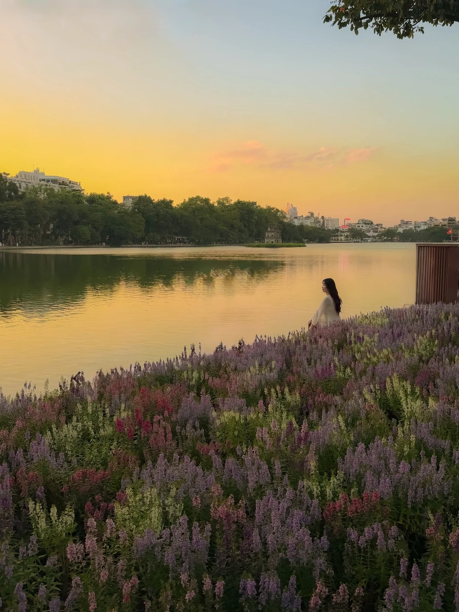 “Quyết không để các nàng thơ nhàm chán”: Hồ Gươm lại thay thảm hoa mới, Hà Nội dạo này thơ thế nhỉ! “Quyết không để các nàng thơ nhàm chán”: Hồ Gươm lại thay thảm hoa mới, Hà Nội dạo này thơ thế nhỉ!
