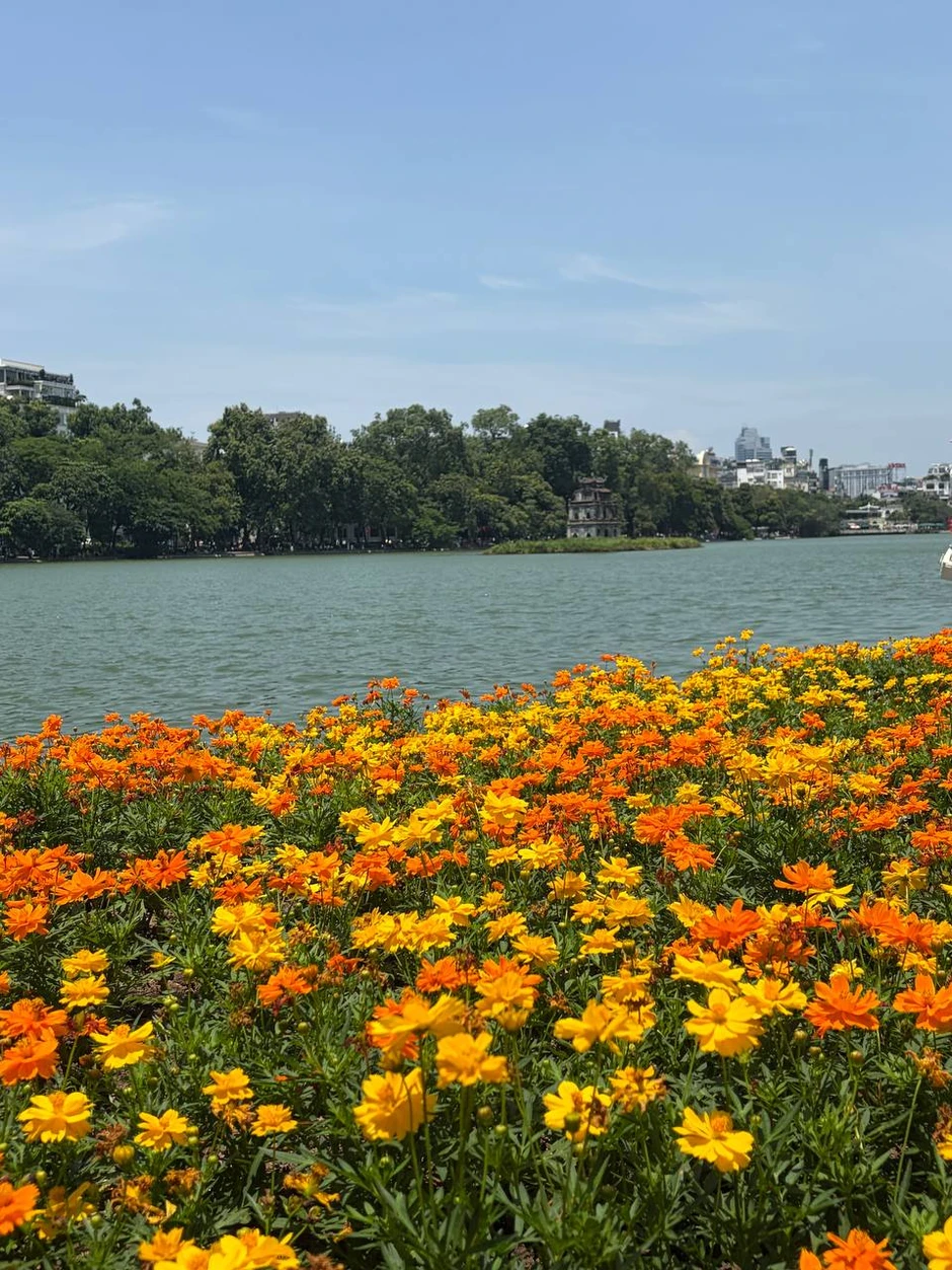 “Quyết không để các nàng thơ nhàm chán”: Hồ Gươm lại thay thảm hoa mới, Hà Nội dạo này thơ thế nhỉ! “Quyết không để các nàng thơ nhàm chán”: Hồ Gươm lại thay thảm hoa mới, Hà Nội dạo này thơ thế nhỉ!
