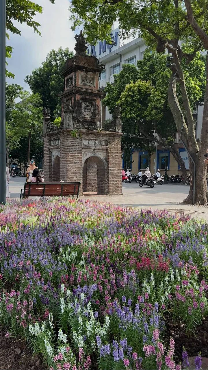 “Quyết không để các nàng thơ nhàm chán”: Hồ Gươm lại thay thảm hoa mới, Hà Nội dạo này thơ thế nhỉ! “Quyết không để các nàng thơ nhàm chán”: Hồ Gươm lại thay thảm hoa mới, Hà Nội dạo này thơ thế nhỉ!