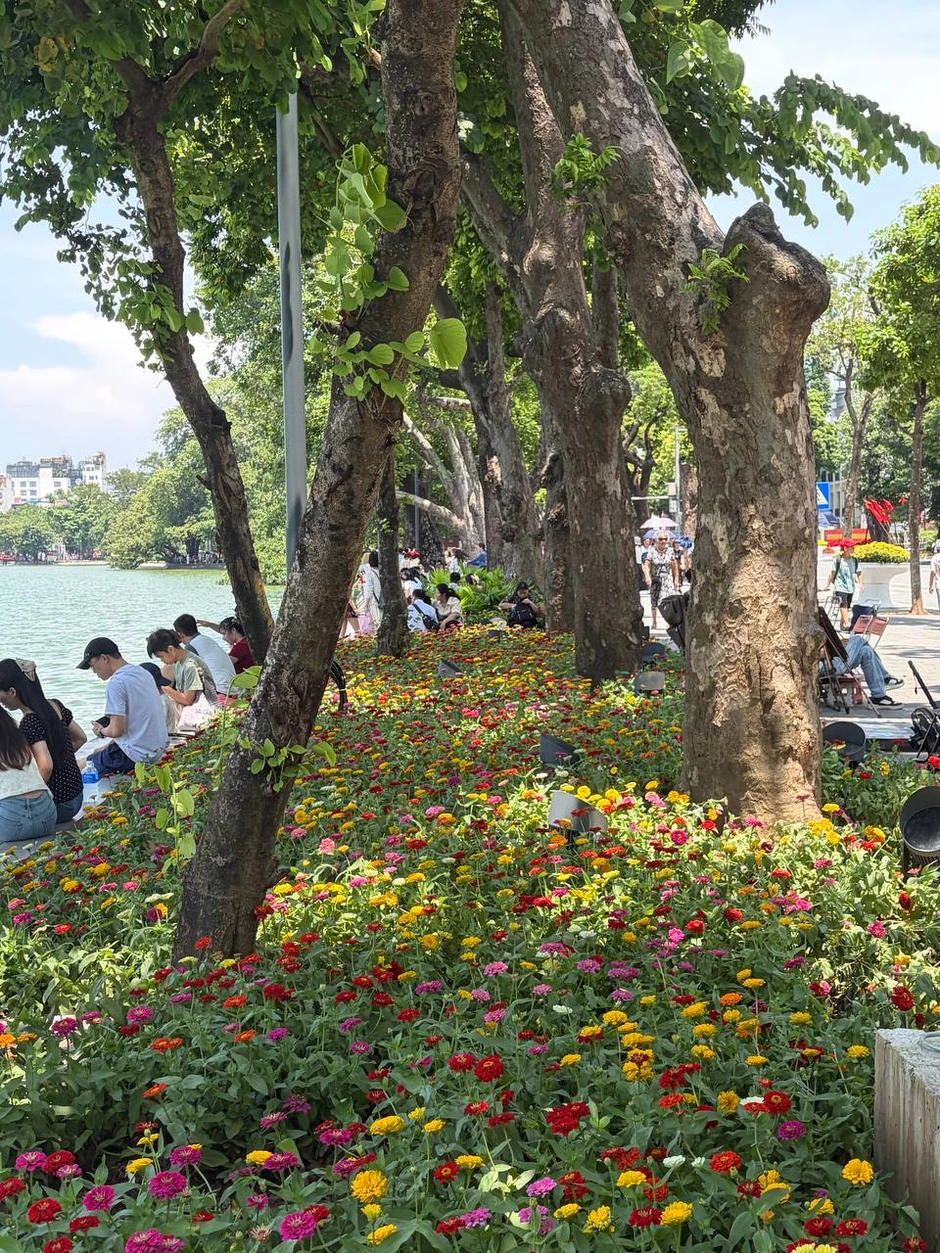 “Quyết không để các nàng thơ nhàm chán”: Hồ Gươm lại thay thảm hoa mới, Hà Nội dạo này thơ thế nhỉ! “Quyết không để các nàng thơ nhàm chán”: Hồ Gươm lại thay thảm hoa mới, Hà Nội dạo này thơ thế nhỉ!