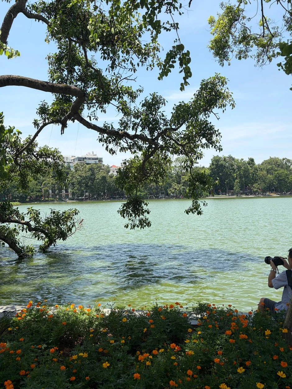 “Quyết không để các nàng thơ nhàm chán”: Hồ Gươm lại thay thảm hoa mới, Hà Nội dạo này thơ thế nhỉ! “Quyết không để các nàng thơ nhàm chán”: Hồ Gươm lại thay thảm hoa mới, Hà Nội dạo này thơ thế nhỉ!