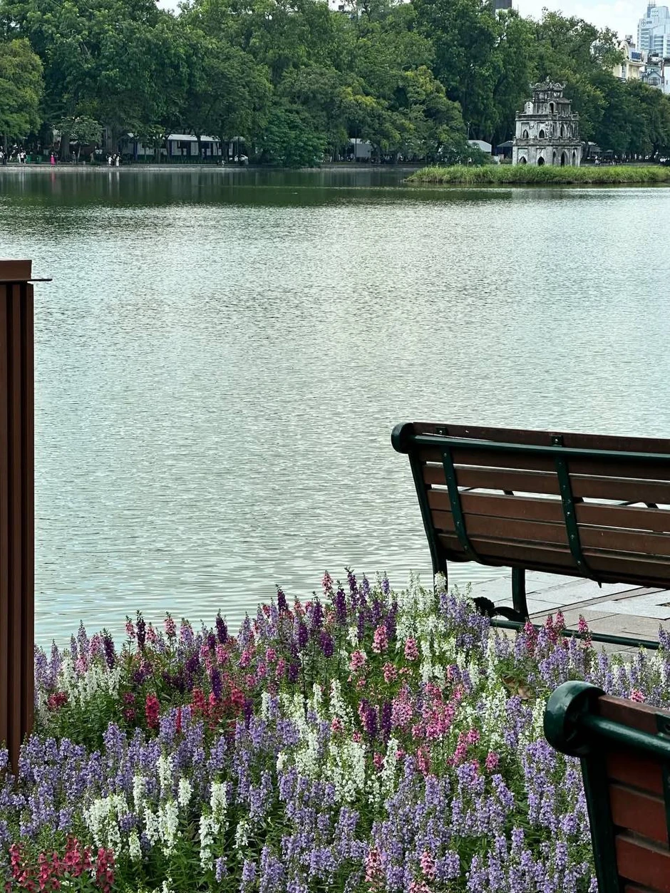“Quyết không để các nàng thơ nhàm chán”: Hồ Gươm lại thay thảm hoa mới, Hà Nội dạo này thơ thế nhỉ! “Quyết không để các nàng thơ nhàm chán”: Hồ Gươm lại thay thảm hoa mới, Hà Nội dạo này thơ thế nhỉ!