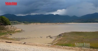 [Video] Chủ động ứng phó hạn hán và xâm nhập mặn