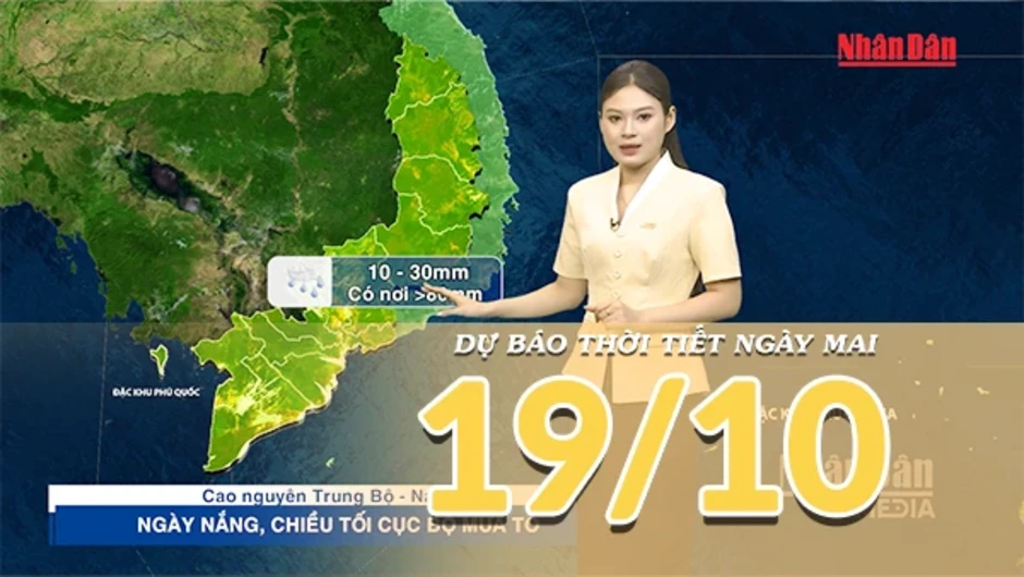 [Video] Dự báo thời tiết đêm nay và ngày mai 19/10/2026: Mưa lớn gia tăng tại Nam Bộ, Bắc Bộ và Trung Bộ rải rác có mưa vài nơi