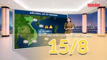 [Video] Dự báo thời tiết đêm nay và ngày mai ngày 15/8/2026: Mưa gia tăng tại Bắc Bộ và Trung Bộ, Nam Bộ tiếp tục có dông