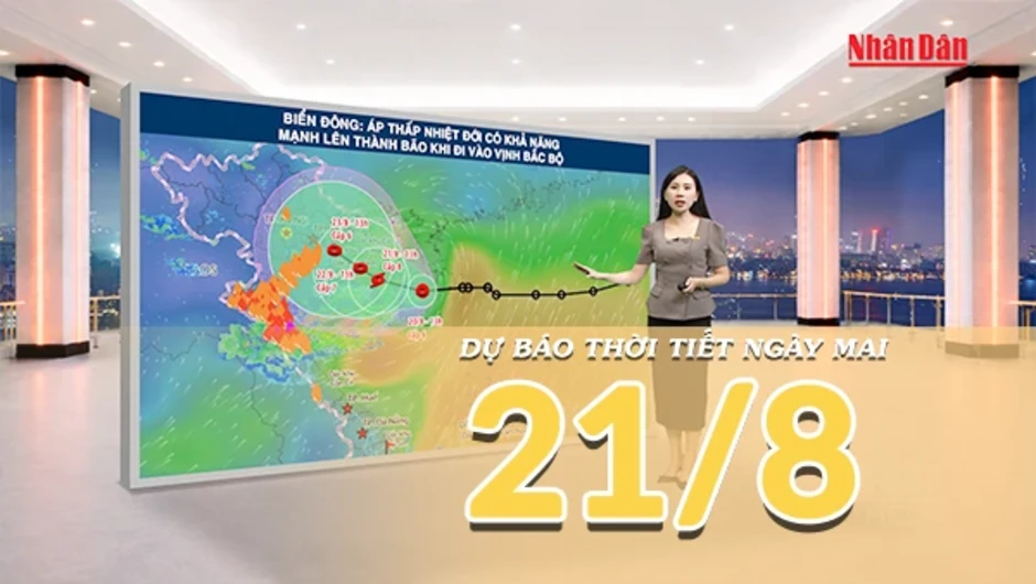 [Video] Dự báo thời tiết đêm nay và ngày mai ngày 21/8/2026: Áp thấp nhiệt đới có khả năng mạnh lên thành bão, Bắc Bộ mưa lớn
