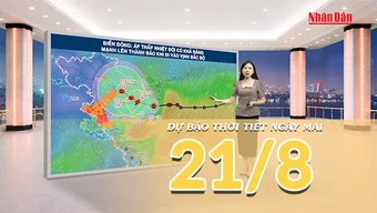 [Video] Dự báo thời tiết đêm nay và ngày mai ngày 21/8/2026: Áp thấp nhiệt đới có khả năng mạnh lên thành bão, Bắc Bộ mưa lớn