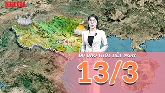 [Video] Dự báo thời tiết ngày 13/3/2026: Không khí lạnh gây mưa rét tại Trung Bộ, cảnh báo biển động mạnh