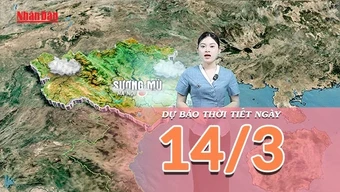 [Video] Dự báo thời tiết ngày 14/3/2026: Không khí ẩm bao phủ Bắc Bộ, Trung Bộ duy trì trạng thái mưa lạnh