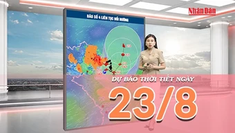 [Video] Dự báo thời tiết ngày 23/8/2026: Bão số 4 di chuyển chậm, Bắc Bộ tiếp tục mưa lớn