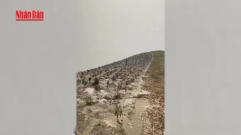 [Video] Mưa đá rơi trắng xóa tại Sơn La