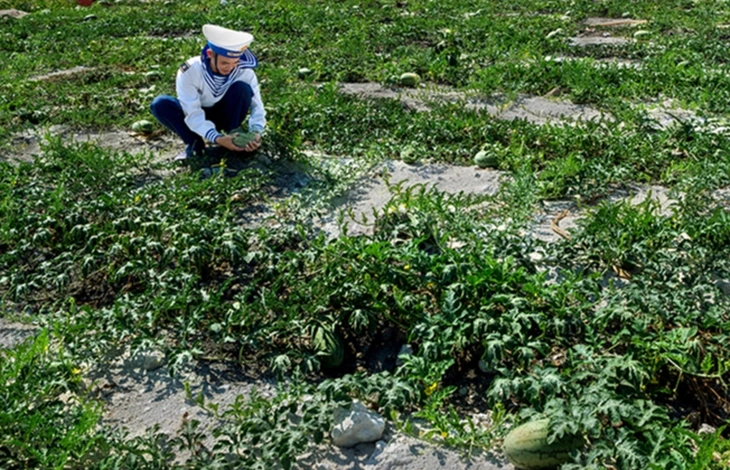 100 khoảnh khắc Trường Sa lay động người xem 100 khoảnh khắc Trường Sa lay động người xem