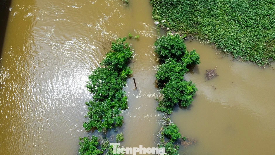 3 cây cầu 'mất dấu' trong nước lũ, người dân Hà Nội phải đi vòng 10 km để sang sông 3 cây cầu 'mất dấu' trong nước lũ, người dân Hà Nội phải đi vòng 10 km để sang sông