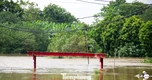 3 cây cầu 