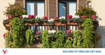 7 cách làm mát nhà mà không cần bật điều hòa giúp tiết kiệm điện