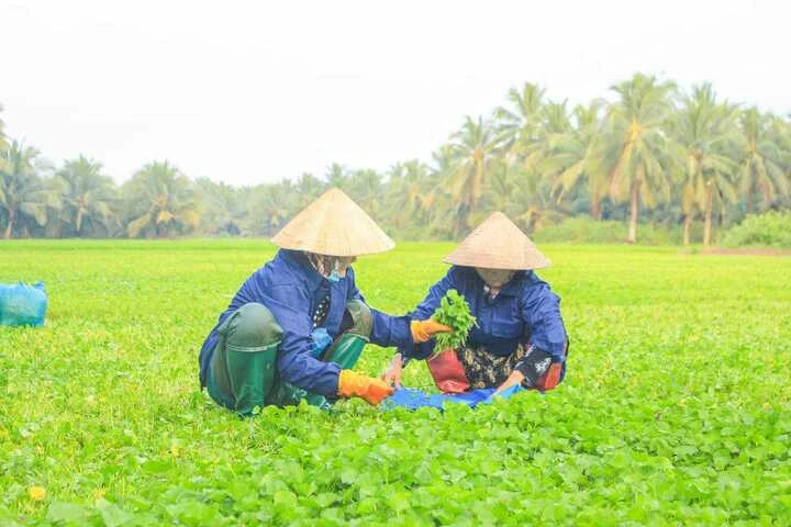 9X tự ứng cử Đại biểu Quốc hội: Mang tiếng nói người trẻ vào nơi hoạch định chính sách