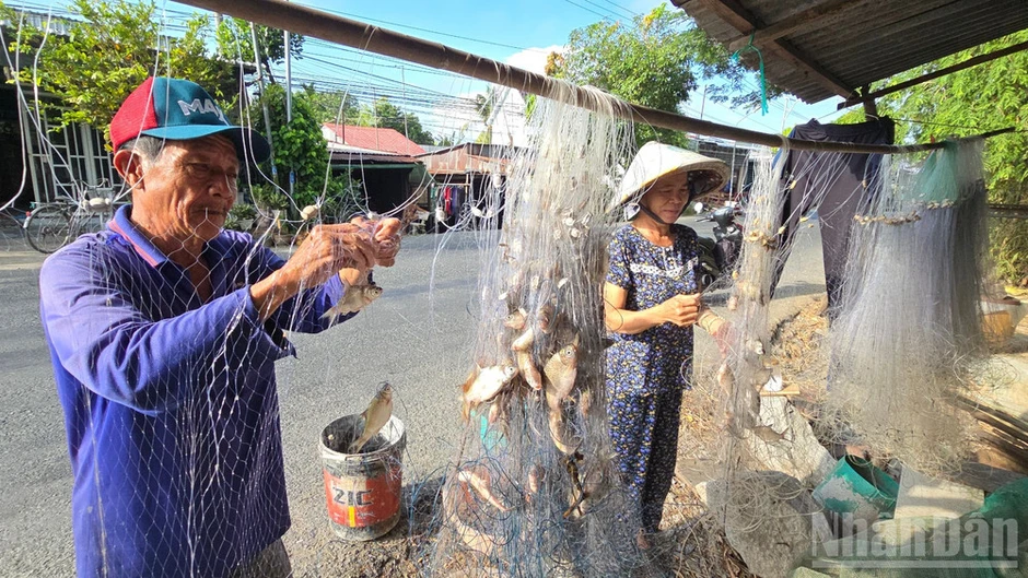 An Giang: Bảo vệ cá trong mùa cá sinh sản An Giang: Bảo vệ cá trong mùa cá sinh sản