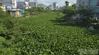 An Giang: Người dân Long Xuyên mong mỏi sớm thi công các con rạch dở dang