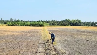 Ba tháng cuối năm, nhiệt độ cả nước cao hơn trung bình nhiều năm