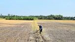 Ba tháng cuối năm, nhiệt độ cả nước cao hơn trung bình nhiều năm