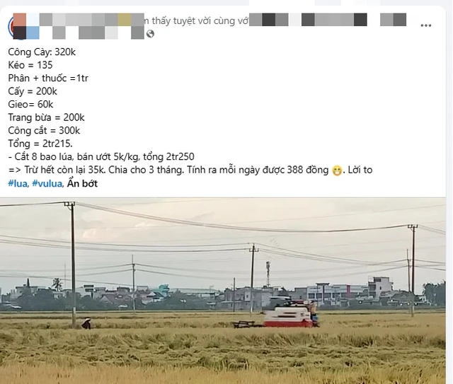 Bài đăng trồng 2 sào lúa chỉ lãi 35.000 đồng bỗng hút 2,5 triệu lượt xem: Nội dung thế nào? Bài đăng trồng 2 sào lúa chỉ lãi 35.000 đồng bỗng hút 2,5 triệu lượt xem: Nội dung thế nào?