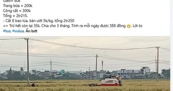 Bài đăng trồng 2 sào lúa chỉ lãi 35.000 đồng bỗng hút 2,5 triệu lượt xem: Nội dung thế nào?