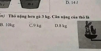 Bài Toán tính gà thỏ khiến ông bố nửa đêm mất ngủ: 200 người vào cuộc vẫn thấy đáp án quá mông lung