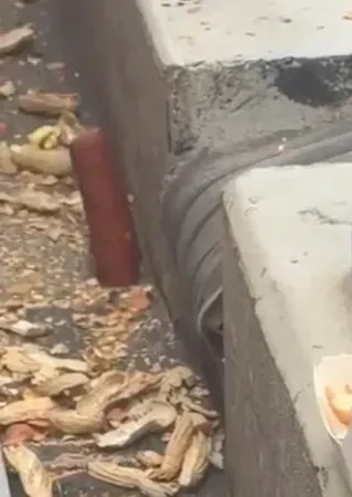 Bàn chân lông lá ngoi lên từ hố nhỏ trên khán đài SVĐ Bàn chân lông lá ngoi lên từ hố nhỏ trên khán đài SVĐ