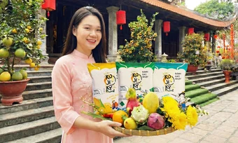 Bánh gạo Kojiky xuất hiện trong mâm lễ đầu năm