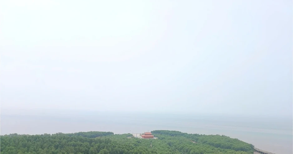 Bảo vệ, phát huy tiềm năng hệ sinh thái rừng miền đất cực nam