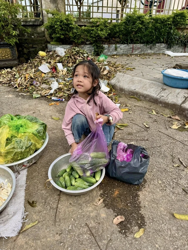 Bé gái mồ côi cha ngồi bán rau ở đường khiến nhiều người nghẹn lòng: Diễn biến không ngờ sau đó Bé gái mồ côi cha ngồi bán rau ở đường khiến nhiều người nghẹn lòng: Diễn biến không ngờ sau đó