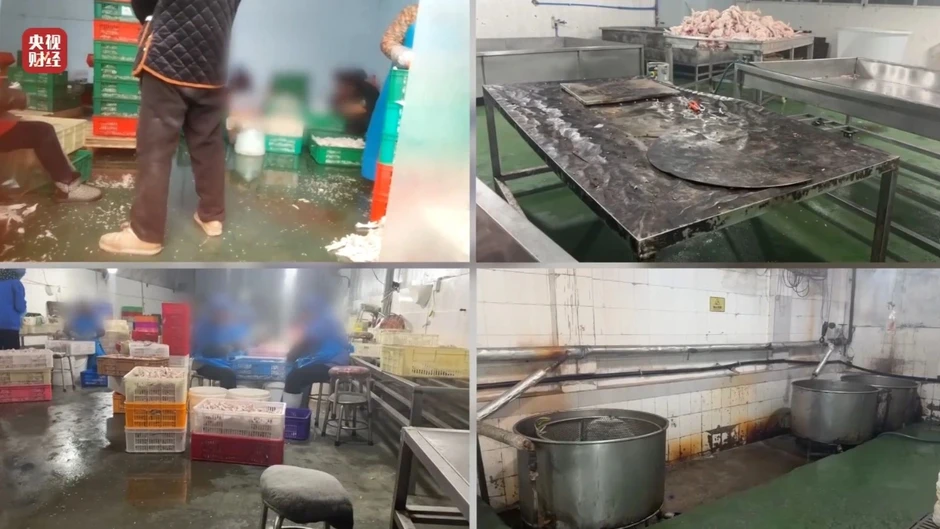 Bên trong xưởng chân gà Trung Quốc: Bể ngâm bốc mùi, người đi ủng giẫm đạp Bên trong xưởng chân gà Trung Quốc: Bể ngâm bốc mùi, người đi ủng giẫm đạp