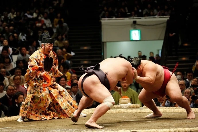 Bí ẩn phía sau vóc dáng và cân nặng 'khủng' của võ sỹ sumo Bí ẩn phía sau vóc dáng và cân nặng 'khủng' của võ sỹ sumo