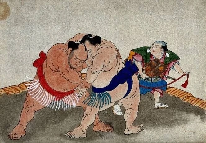 Bí ẩn phía sau vóc dáng và cân nặng 'khủng' của võ sỹ sumo Bí ẩn phía sau vóc dáng và cân nặng 'khủng' của võ sỹ sumo