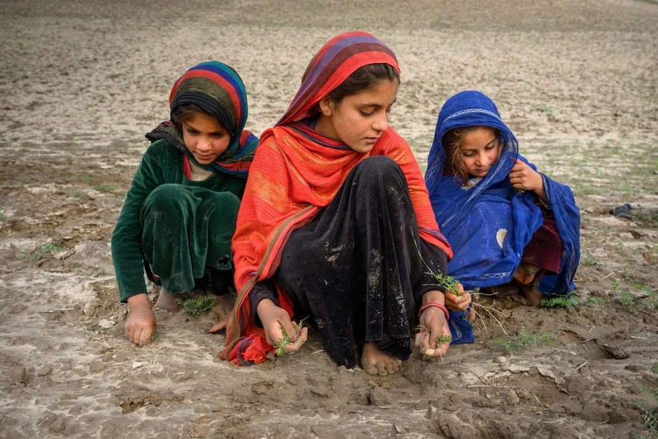Biến đổi khí hậu buộc các gia đình Afghanistan phải bán con gái làm cô dâu Biến đổi khí hậu buộc các gia đình Afghanistan phải bán con gái làm cô dâu