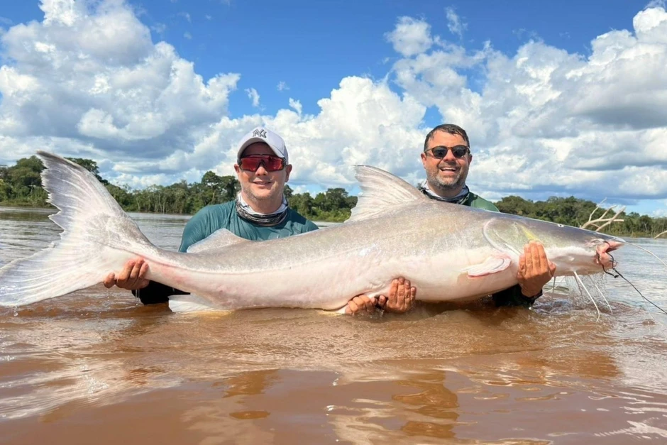 Brazil: Câu trúng cá trê "thủy quái" dài 2m nặng 100kg nhưng không được ăn Brazil: Câu trúng cá trê "thủy quái" dài 2m nặng 100kg nhưng không được ăn