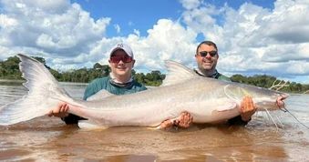 Brazil: Câu trúng cá trê "thủy quái" dài 2m nặng 100kg nhưng không được ăn