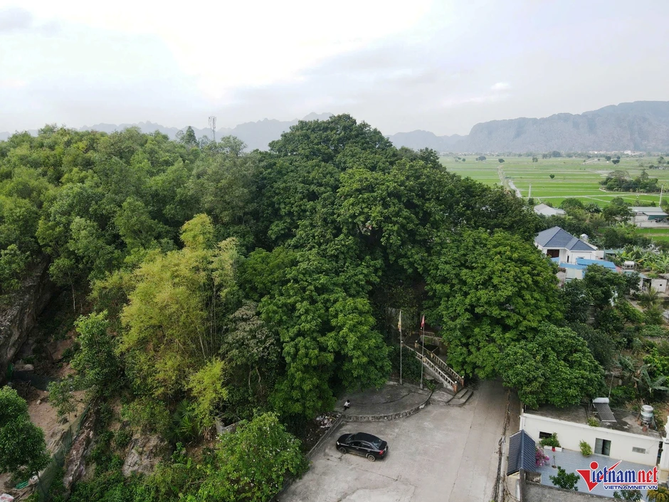 Cả làng bảo vệ 'báu vật' hàng trăm tuổi trên đồi Bích Sơn ở Ninh Bình Cả làng bảo vệ 'báu vật' hàng trăm tuổi trên đồi Bích Sơn ở Ninh Bình