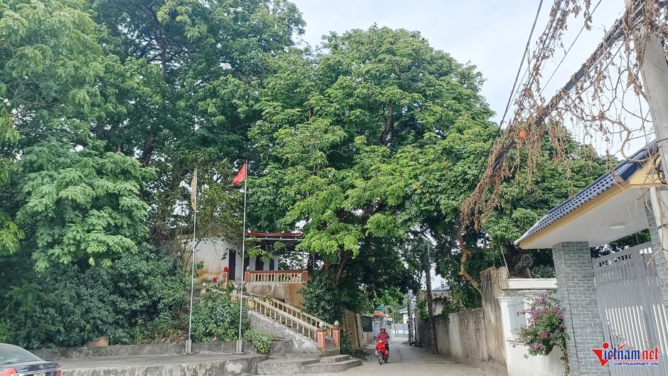 Cả làng bảo vệ 'báu vật' hàng trăm tuổi trên đồi Bích Sơn ở Ninh Bình Cả làng bảo vệ 'báu vật' hàng trăm tuổi trên đồi Bích Sơn ở Ninh Bình