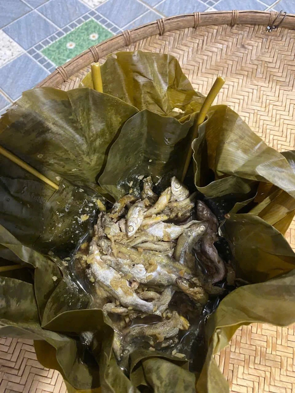Cả làng ở Phú Thọ góp tiền nuôi cá chung, thu cả tấn chia cho từng hộ Cả làng ở Phú Thọ góp tiền nuôi cá chung, thu cả tấn chia cho từng hộ