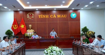 Cà Mau tập trung toàn lực dồn sức chống ngập, khôi phục sản xuất
