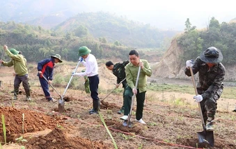 Cán bộ, nhân dân xã Na Son ra quân đào hố trồng mắc-ca, cà-phê