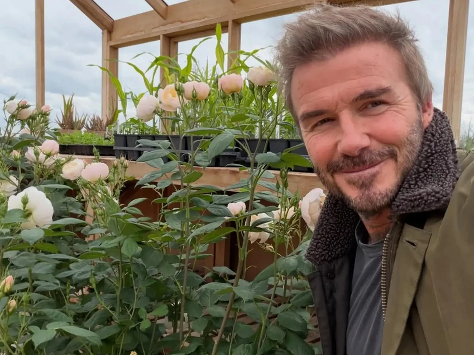 Cận cảnh ngôi nhà đồng quê nơi Beckham dùng để nuôi gà, trồng hoa Cận cảnh ngôi nhà đồng quê nơi Beckham dùng để nuôi gà, trồng hoa