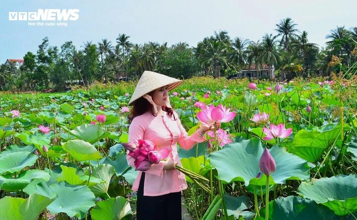 Cận cảnh vẻ ‘sơn thuỷ hữu tình’ Đầm Trà Ổ gần 5.700 ha ở Gia Lai Cận cảnh vẻ ‘sơn thuỷ hữu tình’ Đầm Trà Ổ gần 5.700 ha ở Gia Lai